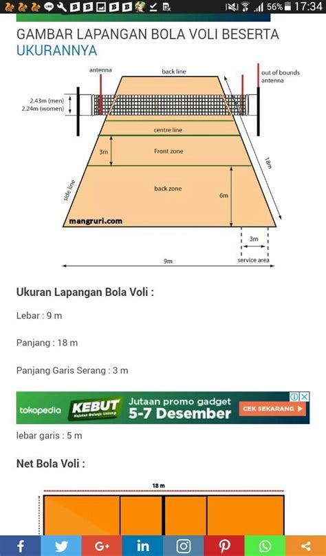 Update Gambar Lapangan Bola Voli Lengkap Dengan Ukurannya Gif Sketsakusd - IMAGESEE