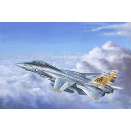 Grumman F-14 model kit - all the model kits at 1001hobbies