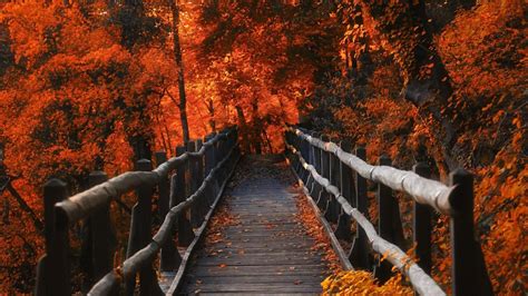 Autumn Bridge Wallpapers - Wallpaper Cave