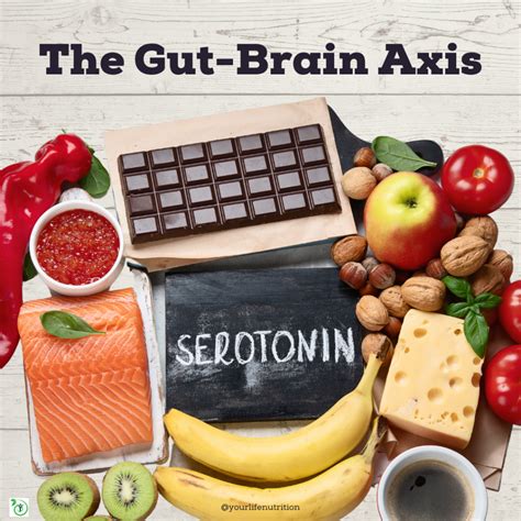 The Gut-Brain Axis: Serotonin - Your Life Nutrition