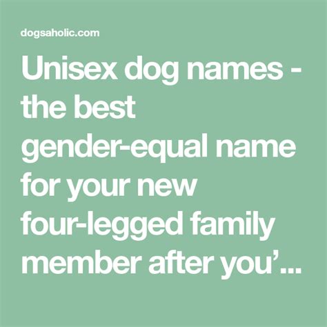 Unisex dog names - the best gender-equal name for your new four-legged ...