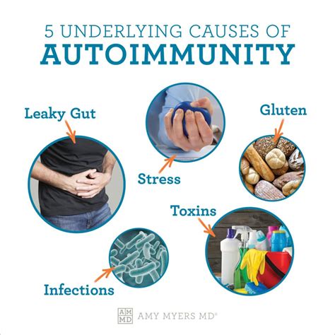 Autoimmune Disease Symptoms | edu.svet.gob.gt