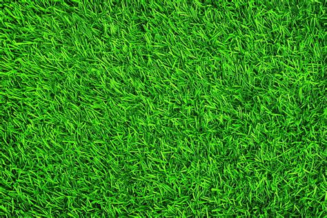 1360x768px | free download | HD wallpaper: green lawn grass, background, summer, backgrounds ...