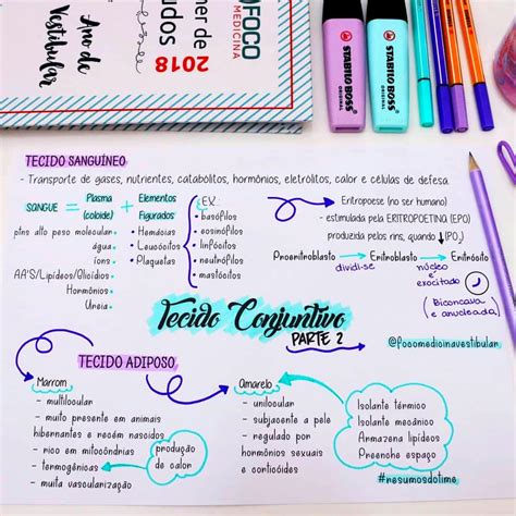 19 Ideas creativas para tener apuntes escolares bonitos