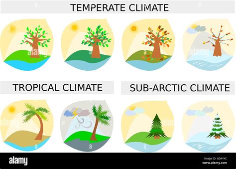 Seasons illustrations - various climate types in vector format Stock ...