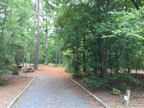 Badin Lake Campground (Uwharrie National Forest) | Campground Views