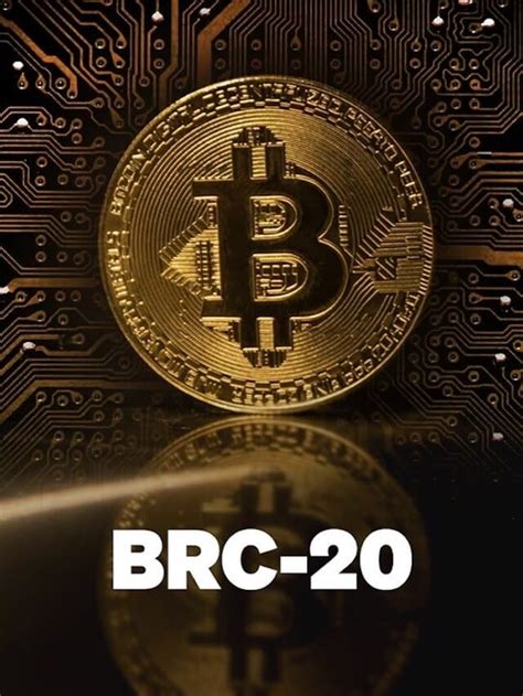 Top BRC20 Tokens To Invest in 2024