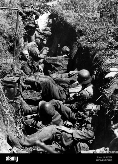 German soldiers during the Battle of Kursk, 1943 Stock Photo: 68839800 ...