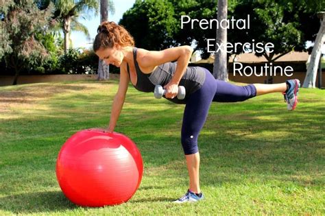 Prenatal Exercise Routine | Prenatal workout, Prenatal exercise routine, Workout routine