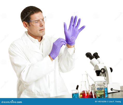 Scientist Puts on Gloves stock photo. Image of forensics - 14516356