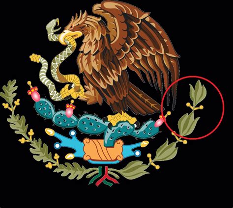 México, dos siglos con un error en su bandera