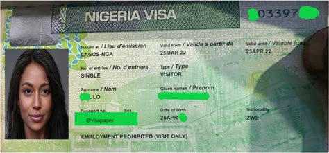 Nigeria Visa On Arrival - How To Apply Online - Visa Blog