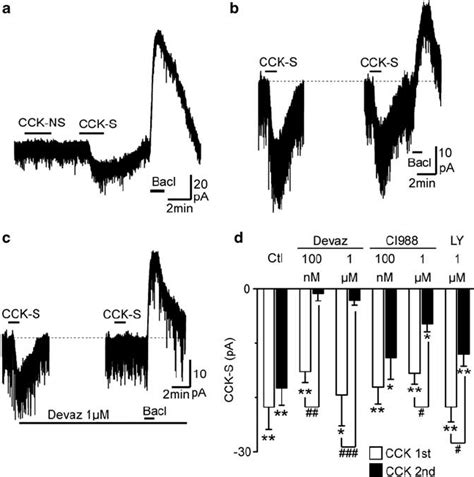 The postsynaptic effects of cholecystokinin are largely mediated by ...