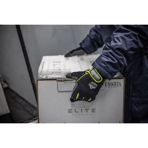 Insulated Freezer Gloves | Ergodyne