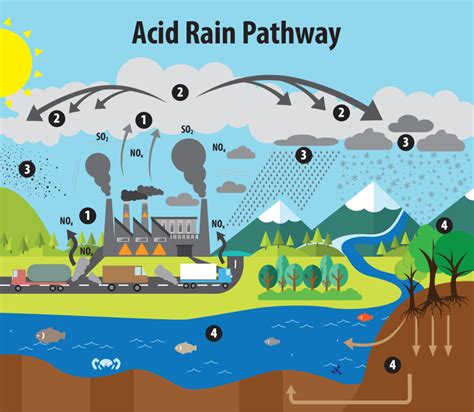 How does acid rain form in Youngstown, Ohio?