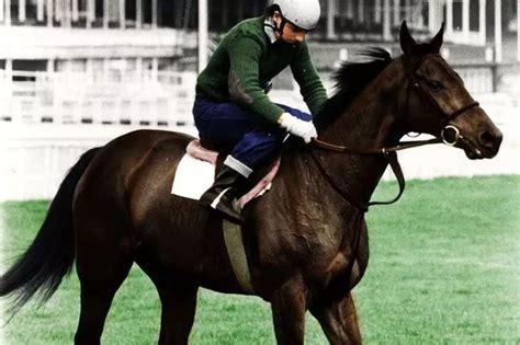 How the legendary Red Rum became national hero - and the greatest race horse of all time ...