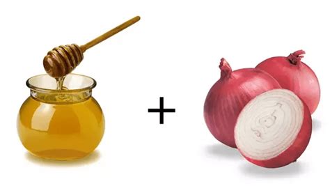 Onion Juice & Honey DIY Hair Growth Treatment