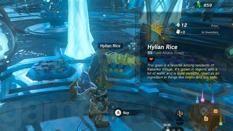 Where to get Hylian Rice in Zelda Tears of the Kingdom | GamesRadar+