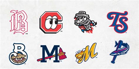 Get to know the Minor League teams in the Double-A South | Cubs