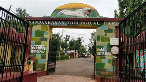 Nandankanan Zoo Authorities Make Online Tickets Mandatory For Entry To ...