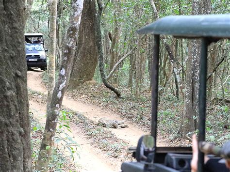 Wilpattu | Wilpattu Safari Tours | Safaris in Wilpattu