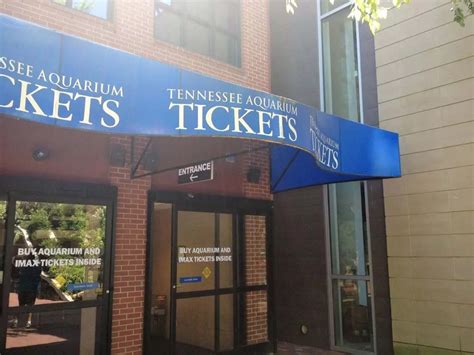 Tennessee State Aquarium | Nashville Fun For Families