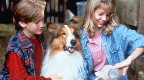 Lassie: Official Clip - Lassie vs. Wolf - Trailers & Videos - Rotten ...