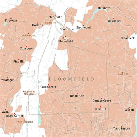 CT Hartford Bloomfield Vector Road Map Digital Art by Frank Ramspott