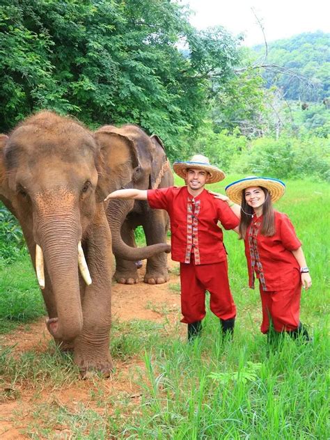 Elephant Rescue Park Chiang Mai - Best Elephant Sanctuary