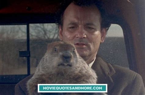 Best Quotes from Groundhog Day – MovieQuotesandMore