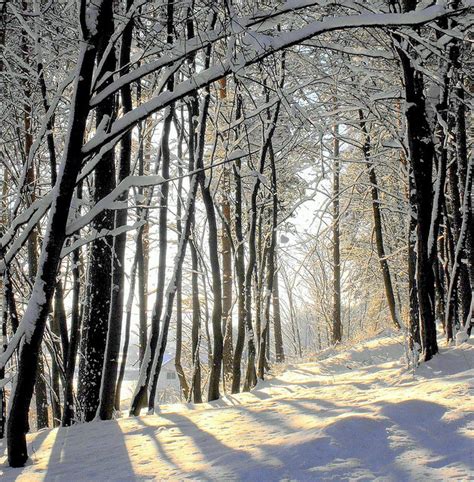 Winter in Lithuania. | Winter landscape photography, Winter scenes, Lithuania