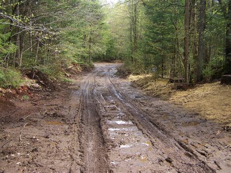 Keep Off Muddy Trails, National Forest Pleads