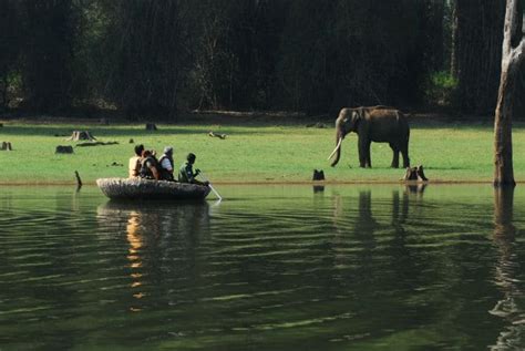 kabini-jungle-safari – South India Tour Packages