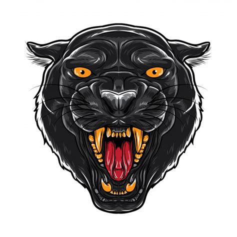 Panther Face Drawing at PaintingValley.com | Explore collection of ...