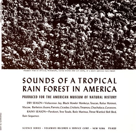 Sounds of a Tropical Rain Forest in America | Smithsonian Folkways Recordings