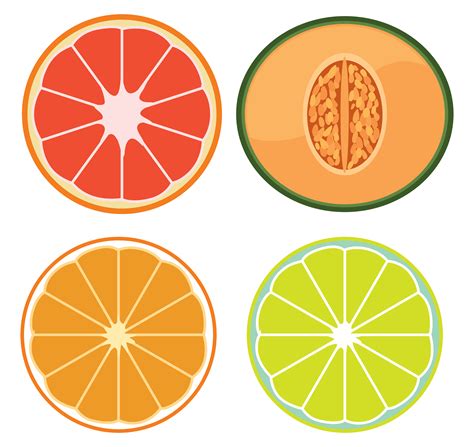 A Set of Sliced Fruits 299736 Vector Art at Vecteezy