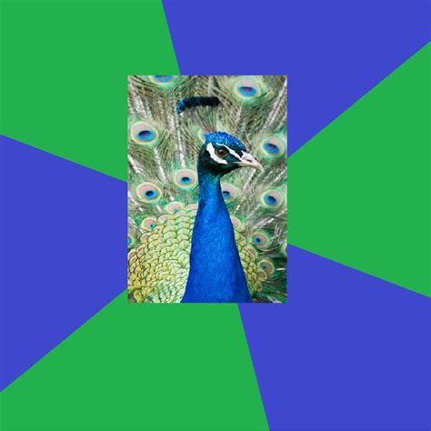 Performing Arts Peacock - Meme Generator