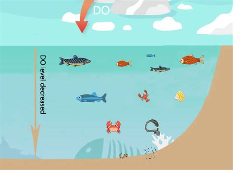 Dissolved Oxygen Definition, Important and Measurement - Renke