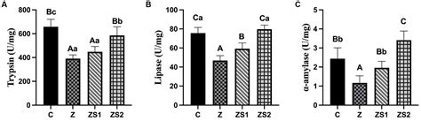 Frontiers | Positive effects of selenized-oligochitosan on zearalenone-induced intestinal ...