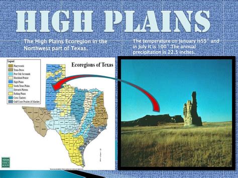 PPT - Ecoregions of Texas PowerPoint Presentation, free download - ID:2581089