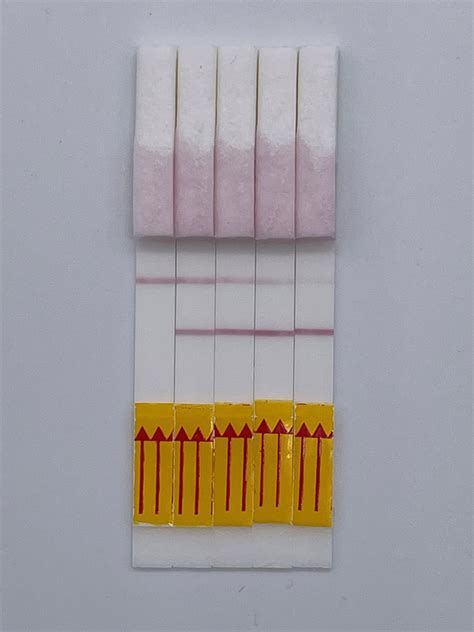 Universal Lateral Flow Assay Kit - Attogene