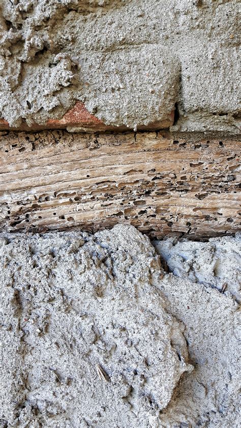 Free Images : rock, wood, texture, old, paint, stone wall, terrain, door, material, geology ...