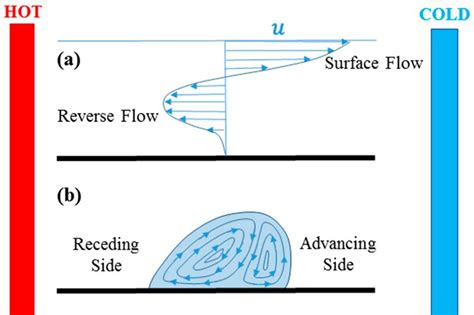 Surface Marangoni flow | CytoFluidix