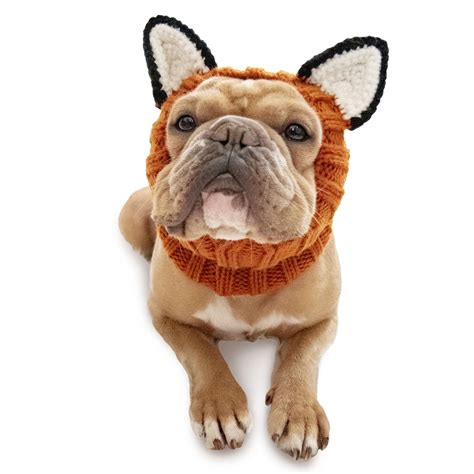 Zoo Snoods Fox Dog Costume - Neck and Ear Warmer Hood for Pets (Medium ...