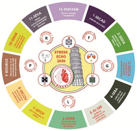 JCM | Free Full-Text | Stress Echo 2030: The Novel ABCDE-(FGLPR) Protocol to Define the Future ...
