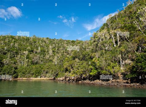 Kariega River, Sibuya Game Reserve, South Africa Stock Photo - Alamy