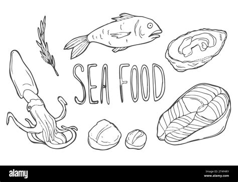 Sea Food Doodle Line Art Illustration. Hand Drawn Vector Clip Art. Banner Set Stock Vector Image ...