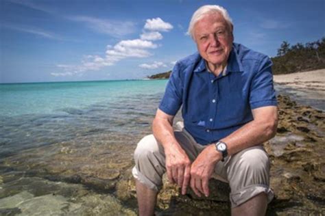 BBC, PBS dive into Attenborough & Natural History Unit special 'The Giant Sea Monster' - TBI Vision