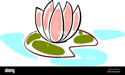 Water lily drawing, illustration, vector on white background Stock ...