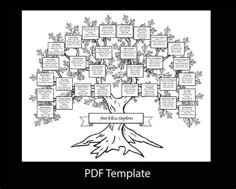 Five Generation Family Tree DIY 16x20 Inch Fillable PDF Template - Etsy